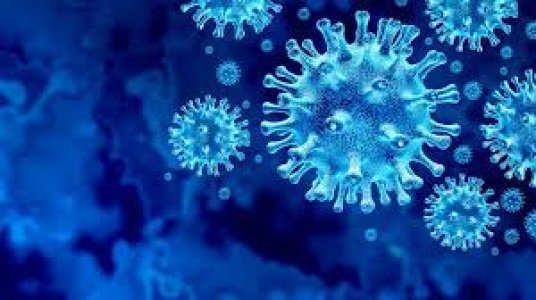 ​На Кіровоградщині лабораторно підтверджено британський варіант коронавірусу.